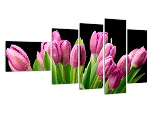 Obraz tulipánů