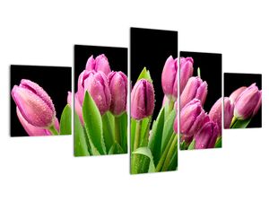 Obraz tulipánů