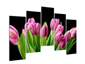 Obraz tulipánů