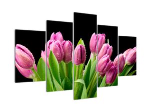 Obraz tulipánů