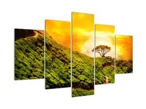 Moderní obraz