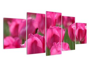 Obraz tulipánů