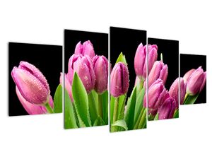 Obraz tulipánů
