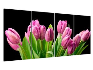 Obraz tulipánů