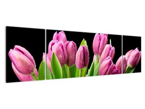 Obraz tulipánů