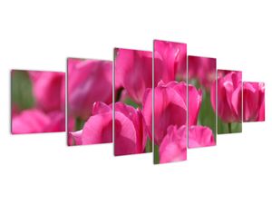 Obraz tulipánů