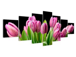 Obraz tulipánů