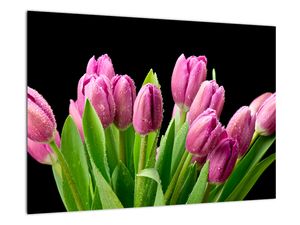 Obraz tulipánů