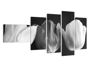 Černobílý obraz - tři tulipány