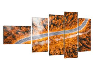 Cesta lesem - moderní obrazy na zeď