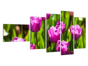 Obraz kvetoucích tulipánů