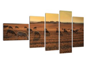 Obraz - panorama krajiny na zeď