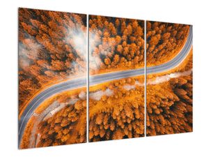 Cesta lesem - moderní obrazy na zeď