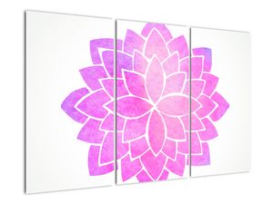 Obraz: růžová mandala