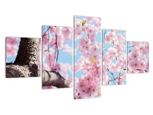 Kvetoucí strom - obraz