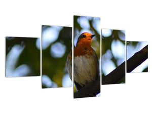 Obraz ptáka na větvi