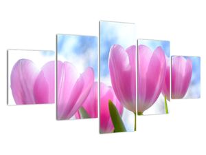 Obraz růžových tulipánů