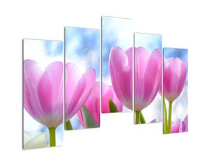 Obraz růžových tulipánů