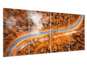 Cesta lesem - moderní obrazy na zeď