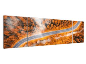 Cesta lesem - moderní obrazy na zeď