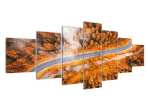 Cesta lesem - moderní obrazy na zeď