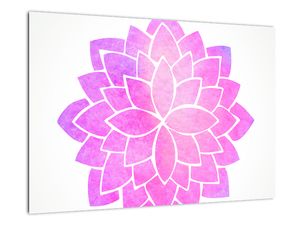 Obraz: růžová mandala
