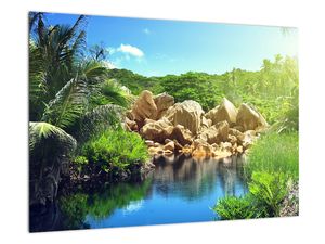 Obraz jezera na Seychelách