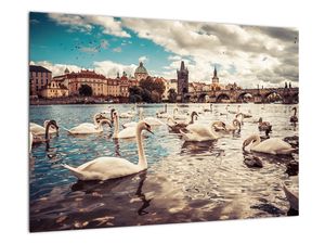 Obraz Karlova mostu / Karlův most