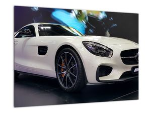 Obraz závodního automobilu