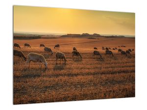 Obraz - panorama krajiny na zeď