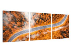 Cesta lesem - moderní obrazy na zeď