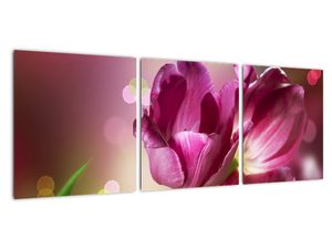Obraz tulipánů