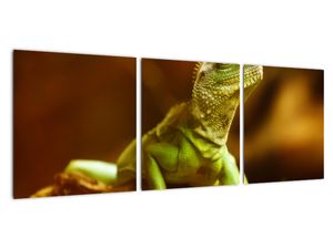 Obraz na zeď - zvířata