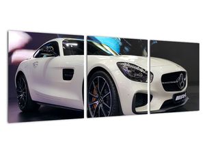 Obraz závodního automobilu