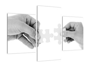 Černobílý obraz - puzzle